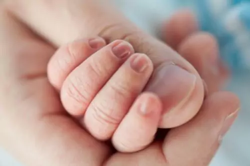 LAW OFFICE OF DAVID HURVITZ PA Child Custody